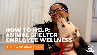 Exploring the new tool helping to improve the lives of animal shelter employees