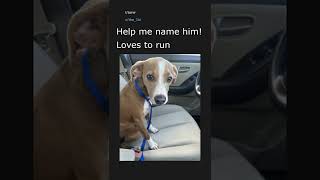 Daily Top Reddit Posts #16. 08/31/22. Top post in r/aww.
