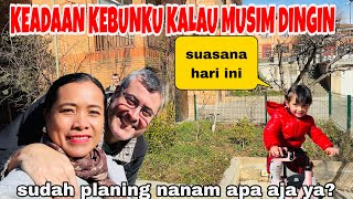 Download Lagu KEADAAN KEBUNKU KALAU MUSIM DINGIN ,SUDAH MAU PLANING APA SAJA YA? BEGINI NEGARA 4 MUSIM  MP3