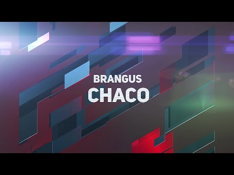 BRANGUS CHACO - REPRODUTOR LANÇAMENTO 2022 - RENASCER BIOTECNOLOGIA