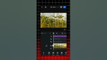 How to Extract Audio in VN App & Set Audio on Other Video ll #shorts
