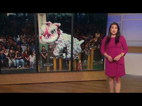 Houston hosts international lion dance championships for first time in U.S.