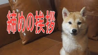 2016年最後のご挨拶