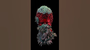 LULIA - made in blender 2.93 using geometry nodes