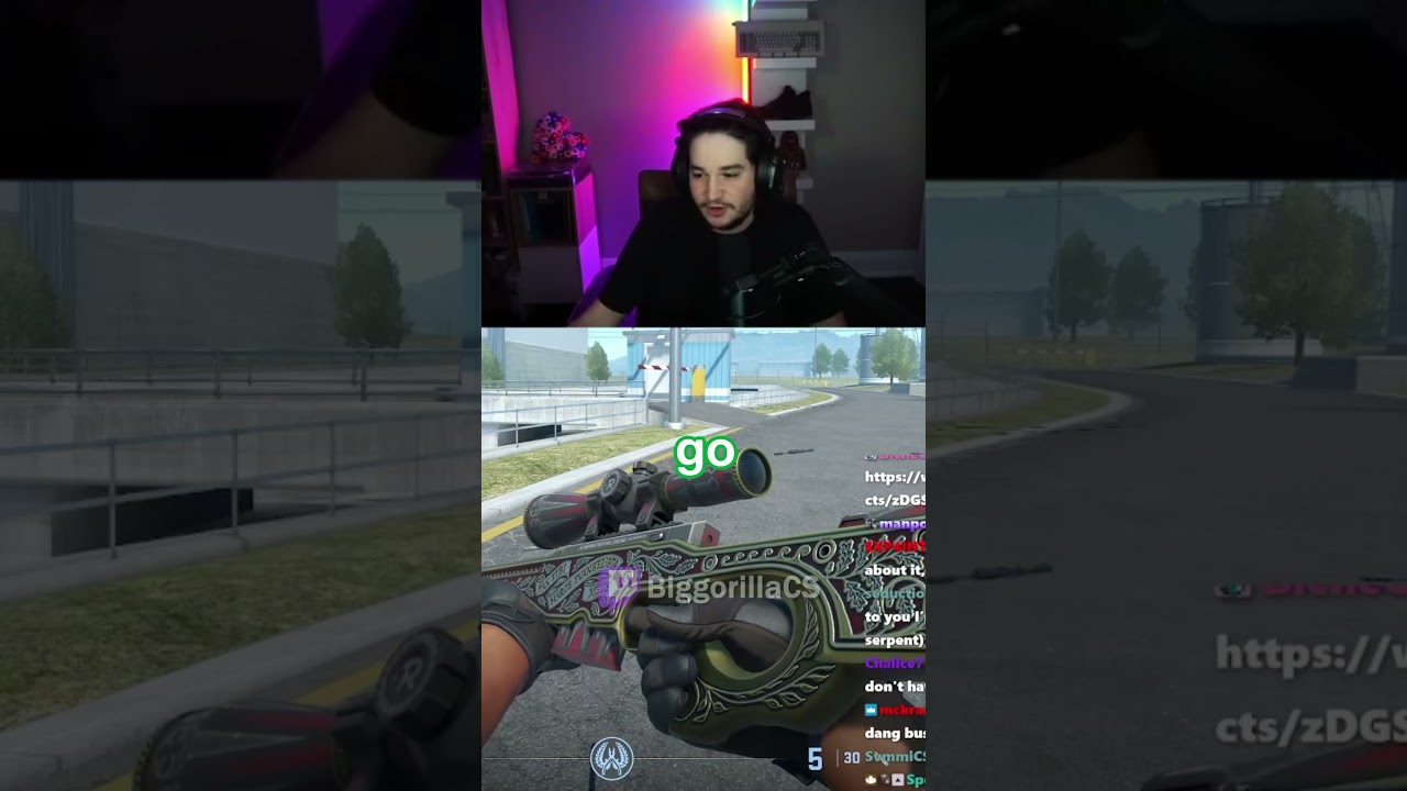 AWP Prince different rarity? 