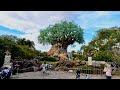 Disney's Animal Kingdom 2022 Walking Tour in 4K | Walt Disney World Orlando Florida February 2022