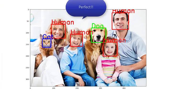 Training and applying Haar cascade classifier to detect cats and dogs faces | Adnan Al-Mnini