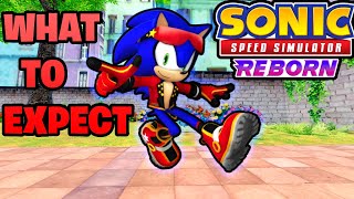 What To EXPECT In This Weeks UPDATE (Sonic Speed Simulator)