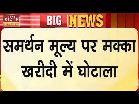 Breaking News : समर्थन मूल्य पर Makka खरीदी में घोटाला | Sagar MP