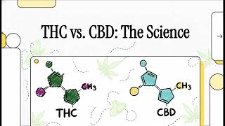 THC vs CDB -The Science