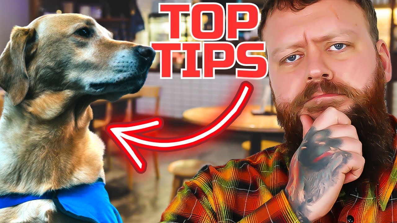 3 Top Tips To Get Your Dog To Behave Anywhere YouTube 3-top-tips-to-get-your-dog-to-behave-anywhere-youtube