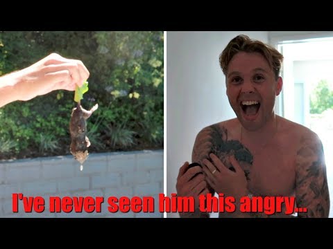 we-gave-him-a-dead-rat!-(prank-wars)-**rage!!!**