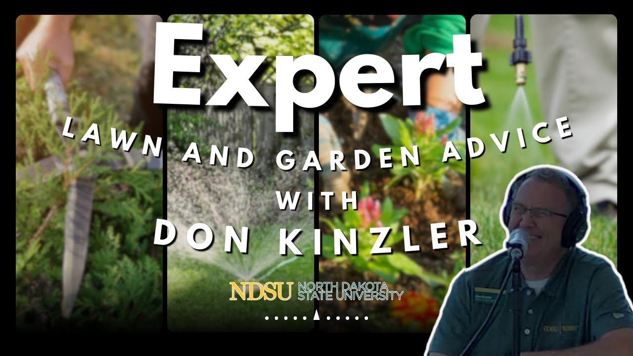 🍓🌲Keeping strawberries alive, when to trim your tree, peony tips, & all