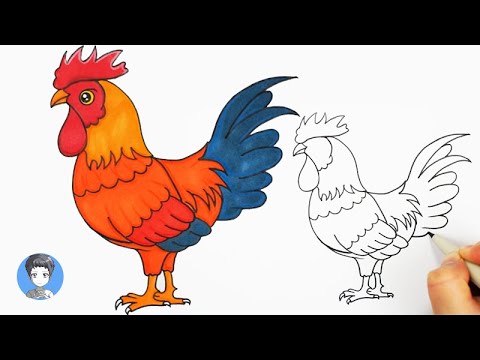 How to draw a beautiful cock