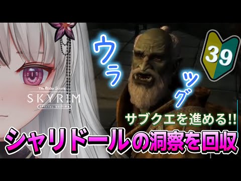 🔴The Elder Scrolls V: Skyrim AE｜🔰＃39｜おさんぽ🌙*ﾟ