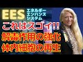 EES（エネルギー・エンハンス・システム）〜これはスゴイ！！解毒作用の強化・体内細胞の再生〜