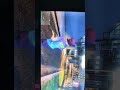 GTA online! My Pagani Huayra!