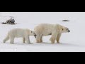 Traveling and Exploring the Arctic with Quark Expeditions in Spitsbergen, Svalbard