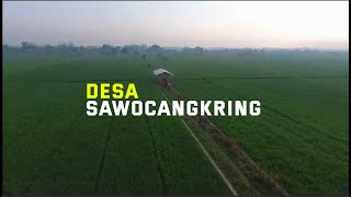 PROFILE COMPANY DESA SAWOCANGKRING BY KKN MBKM UNESA 2022