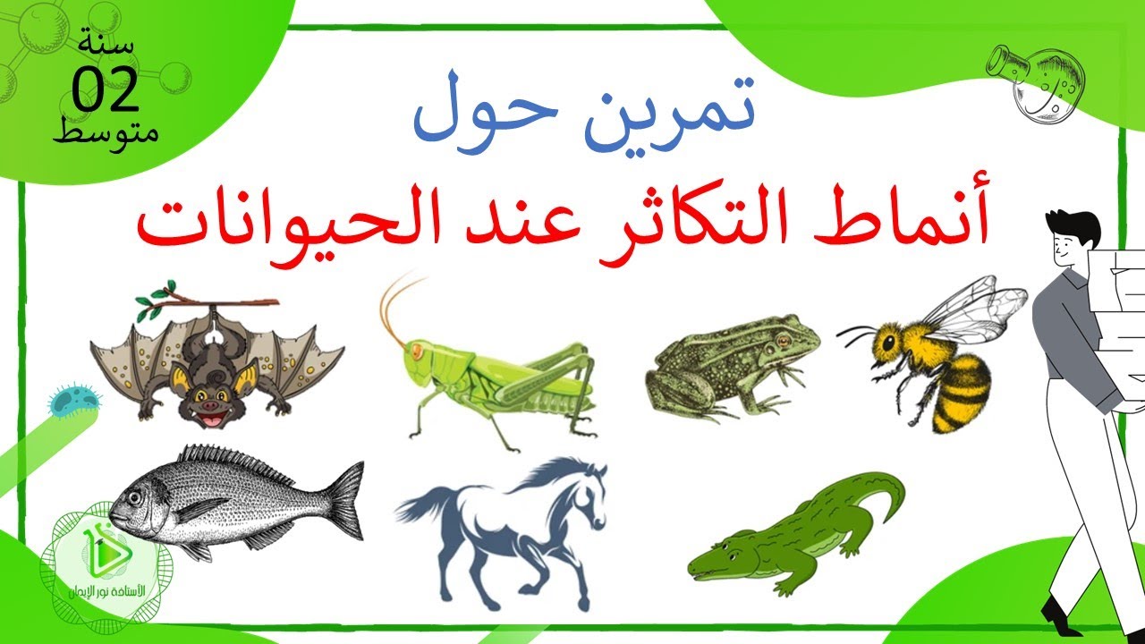 تمرين حول أنماط التكاثر عند مختلف الحيوانات علوم طبيعية سنة 02 متوسط