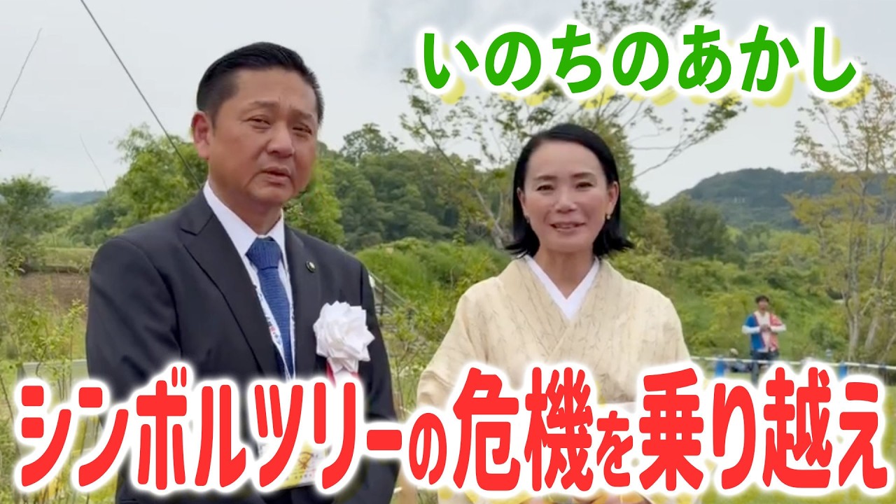 動画を再生