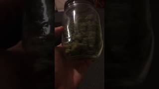What an ounce of weed looks like