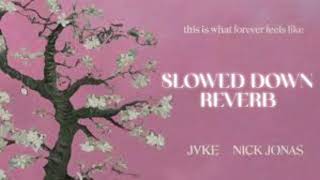 JVKE, NICK JONAS - THIS IS WHAT FOREVER FEELS LIKE (SLOWED AND REVERB)