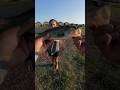 Bass on ultralight #fishing #ultralight #bassfishing #bass #fish