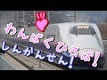 わんぱく13分!しんかんせん!新幹線!!