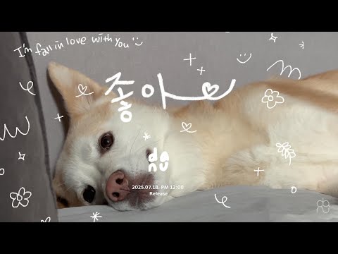 [아무래도 네가]_좋아-다누(Da Nu)_teaser_2
