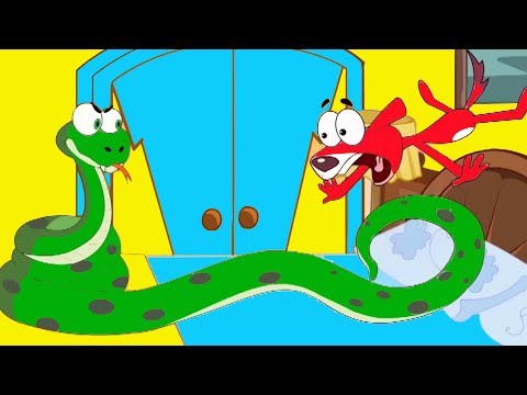 rat-a-tat-|don-and-the-snake-cartoons-compilation-for-kids'|-chotoonz-kids-funny-cartoon-videos