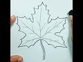 How To Draw Maple Leaf Shorts 