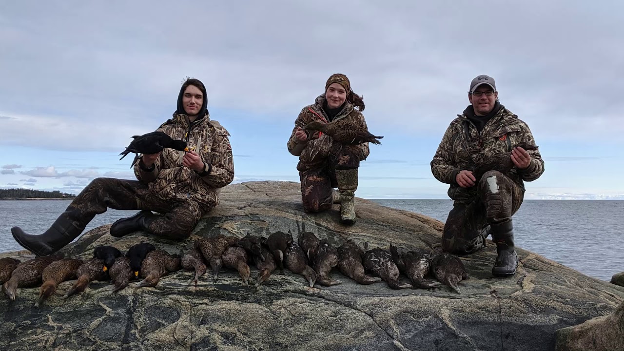 Duck hunting shotkam2019-CÔTE-NORD