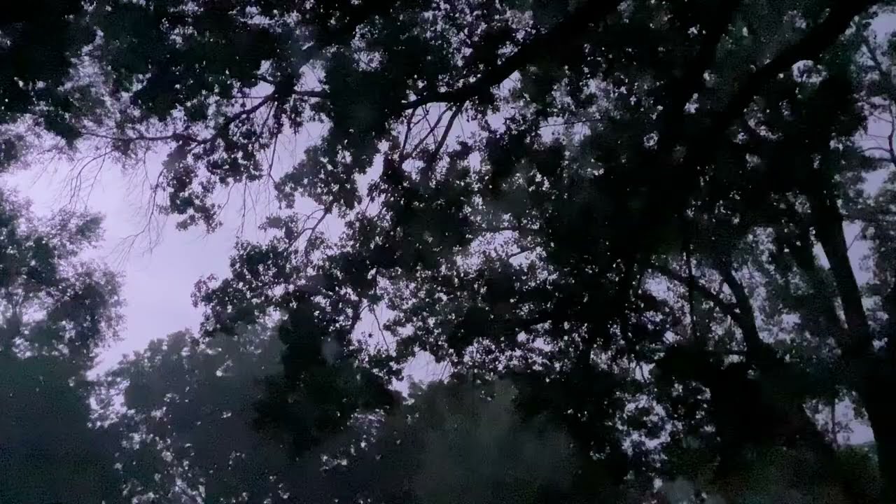 Late Loud Thunderstorm With Frequent Lightning And Loud Thunder!!!!! August 10, 2025