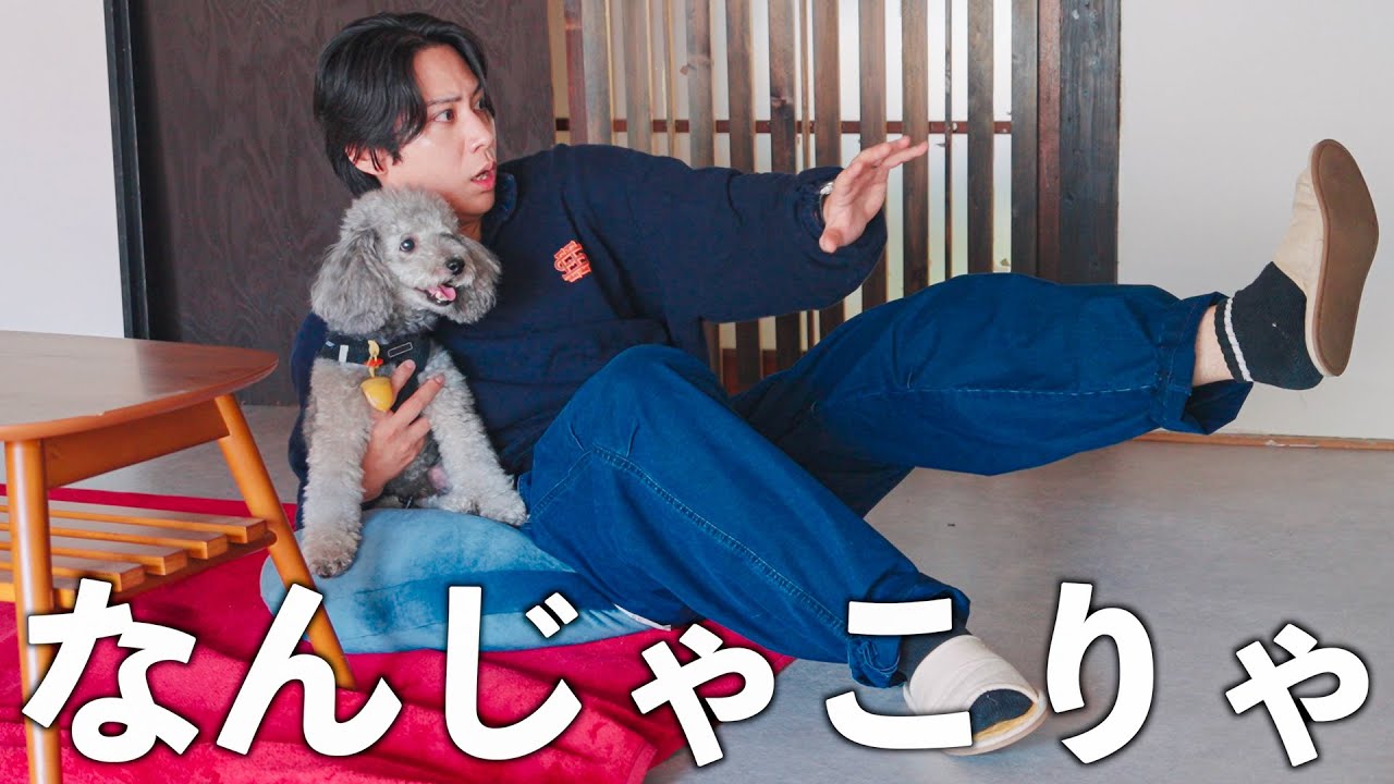 🐶愛犬と半年放置した古民家に行ったら大変なことになっていました、、、