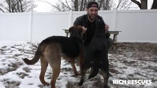 Tyler Rich - Rich Rescues: Episode 3
