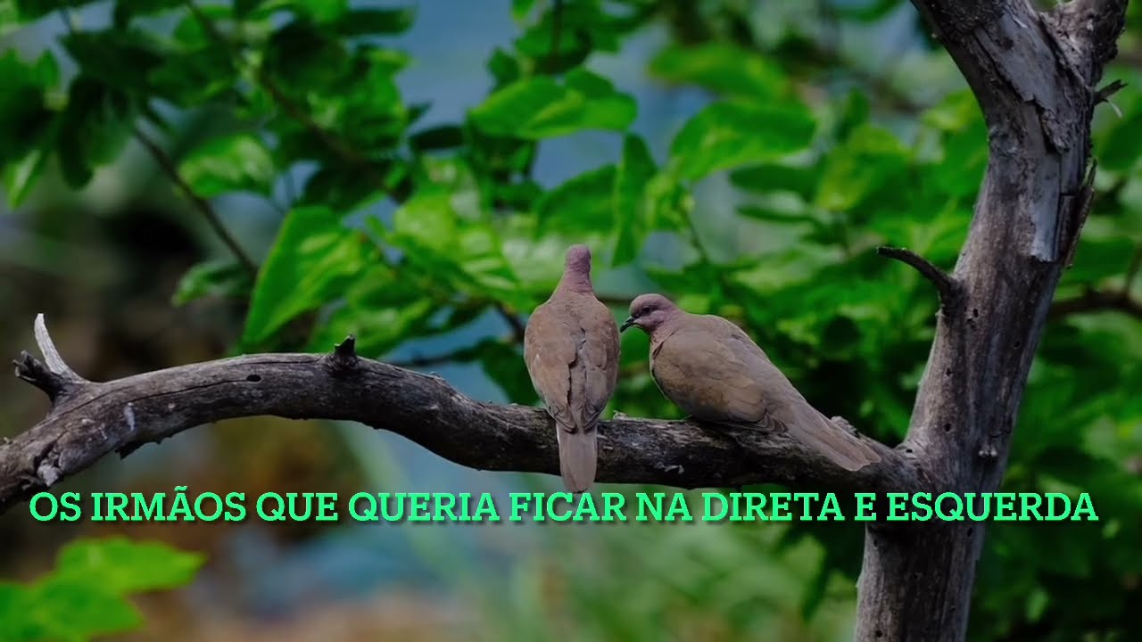 Evangelho 04/03/26. Os Irmãos Que Queria Sentar ao Lado de Jesus! O que é Quaresma?