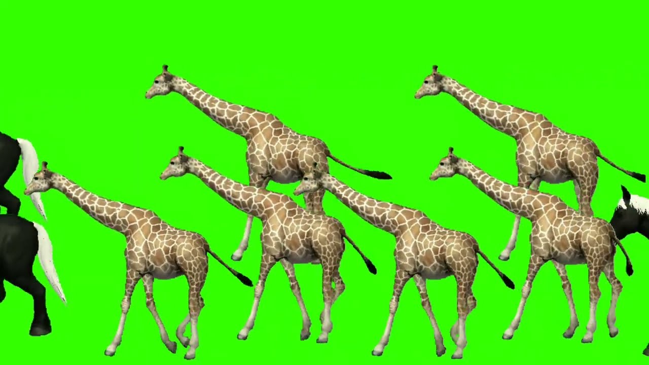 Animals Stampede Green Screen Video ‪@Soumya Cartoon Tv