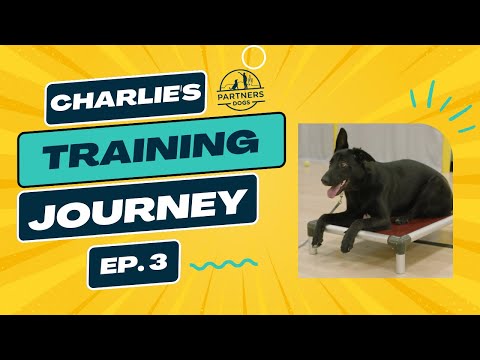 Charlie: Episode 3