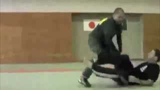 Frank Arias Systema Instructor. Demo #1