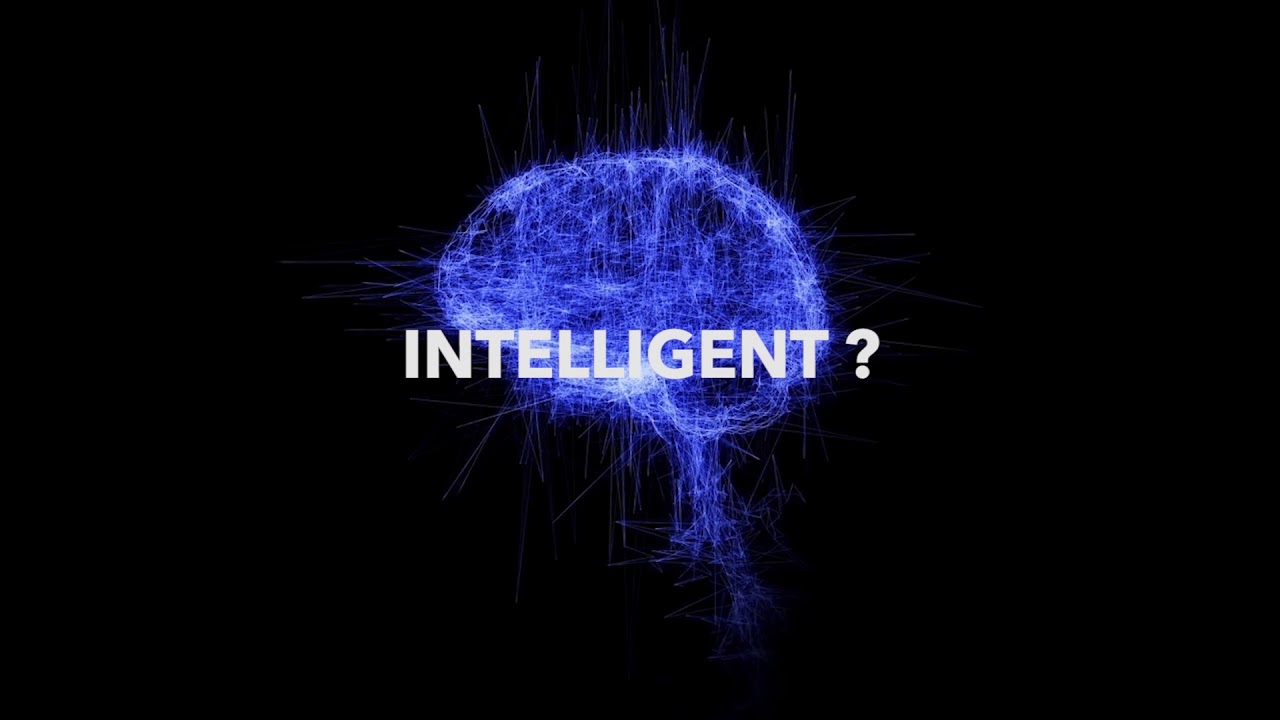 « Brain », une intelligence presque parfaite ? 🤖 peinture seigneurie