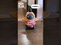 【LOVOT】これがロボット！？生き物感溢れる〈喜怒哀楽〉を全て見せます #shorts #lovot #ラボット @momiziba