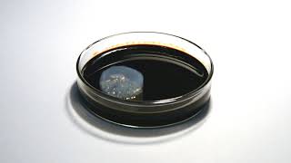 Oleophobic boehmite nanofiber aerogel on crude oil