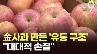 金사과 만든 '유통마진' 손본다…유통 구조 대대적 손질