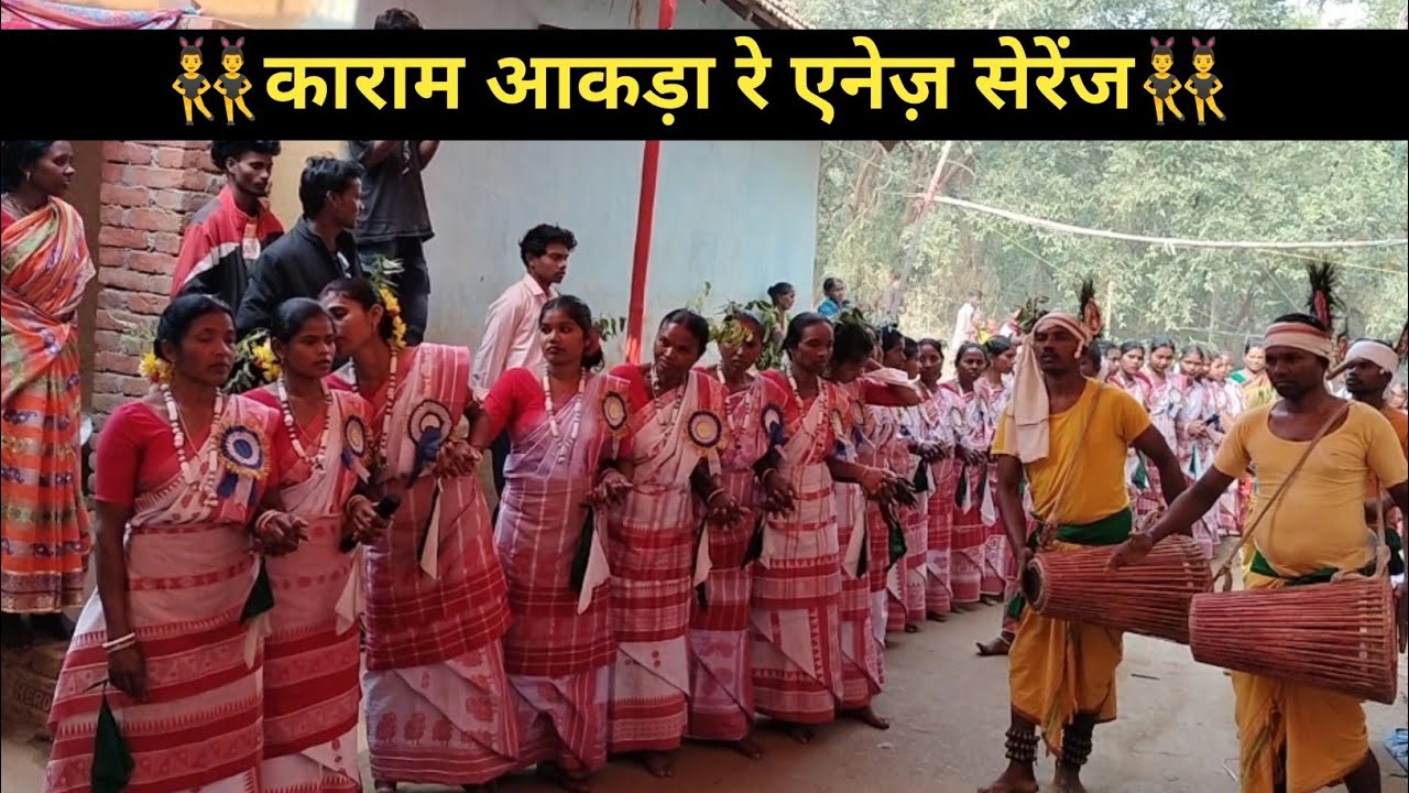 Majhi Kowa Chhatka Re Chili May Ku Jarwa Aakana 🎵माझी कोवा छटका रे चिली मई कु जारवा आकना 🎵 #adiwasi 