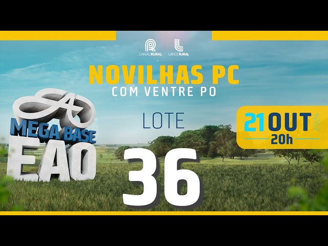 LOTE 36