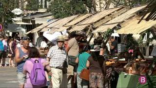 Porreres celebra amb èxit la Fira de l’Albercoc
