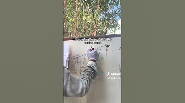 Bamboo Construction: How do we Build??