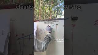 Bamboo Construction: How do we Build??