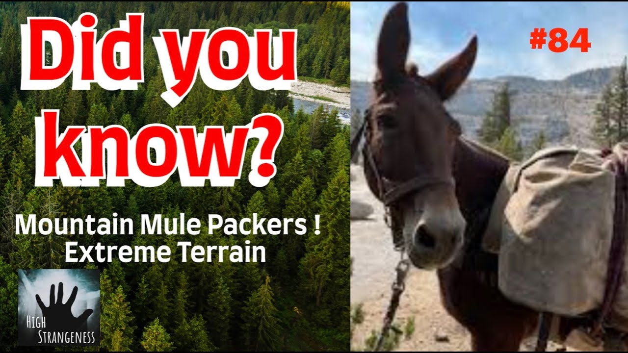 #84 Training Pack Animals for Extreme Terrain (2025)